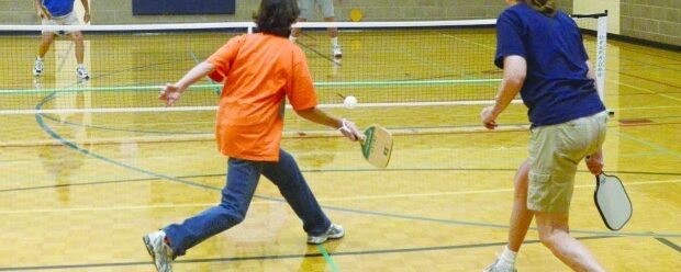 Pickleball Courts at Faribault Parks And Recreation