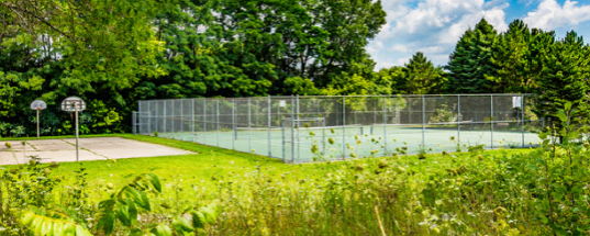 Pickleball Courts at Walnut Grove Park